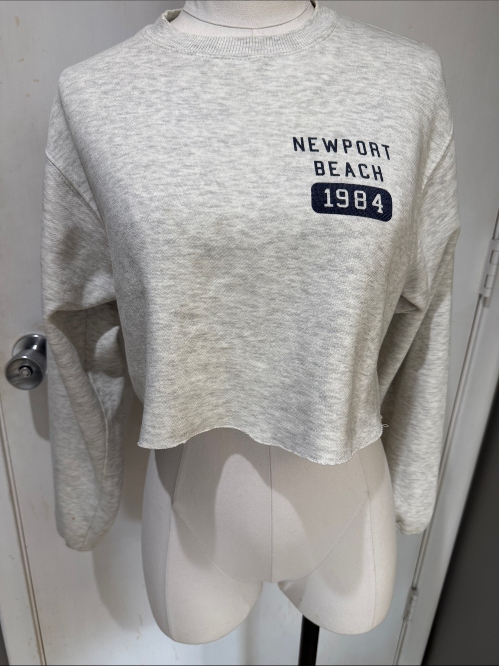 Brandy Melville Light Heather Gray Newport Beach 1984 Cropped Sweatshirt